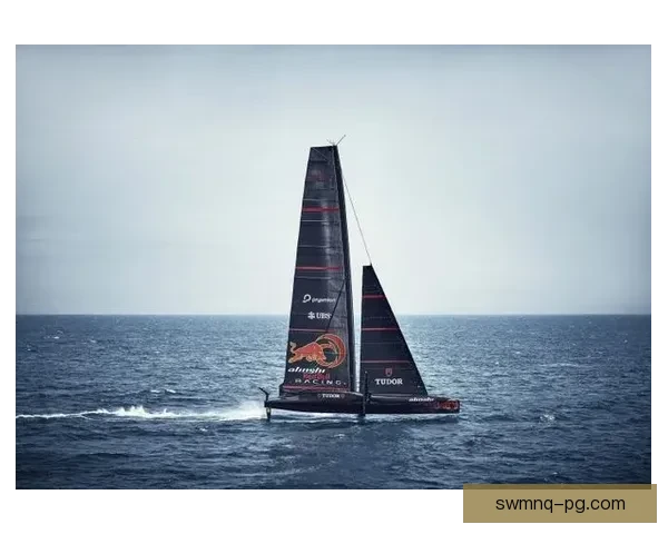 帆船冠军：引领风向，征服海洋