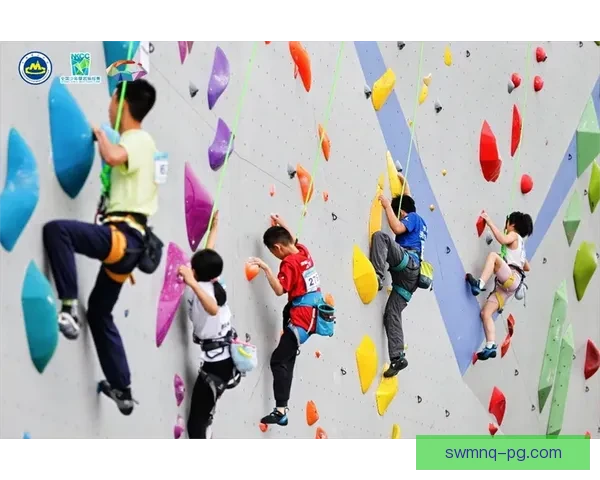 岩峰争雄：挑战巅峰，闯亚洲攀岩邀请赛